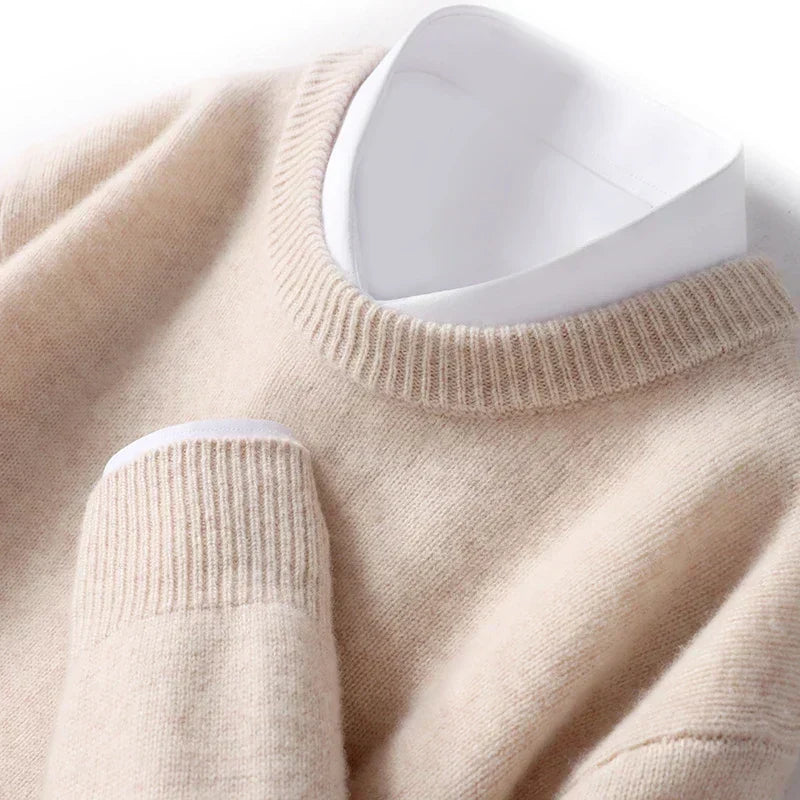 Fijngebreide Crewneck Trui Heren Regular Fit