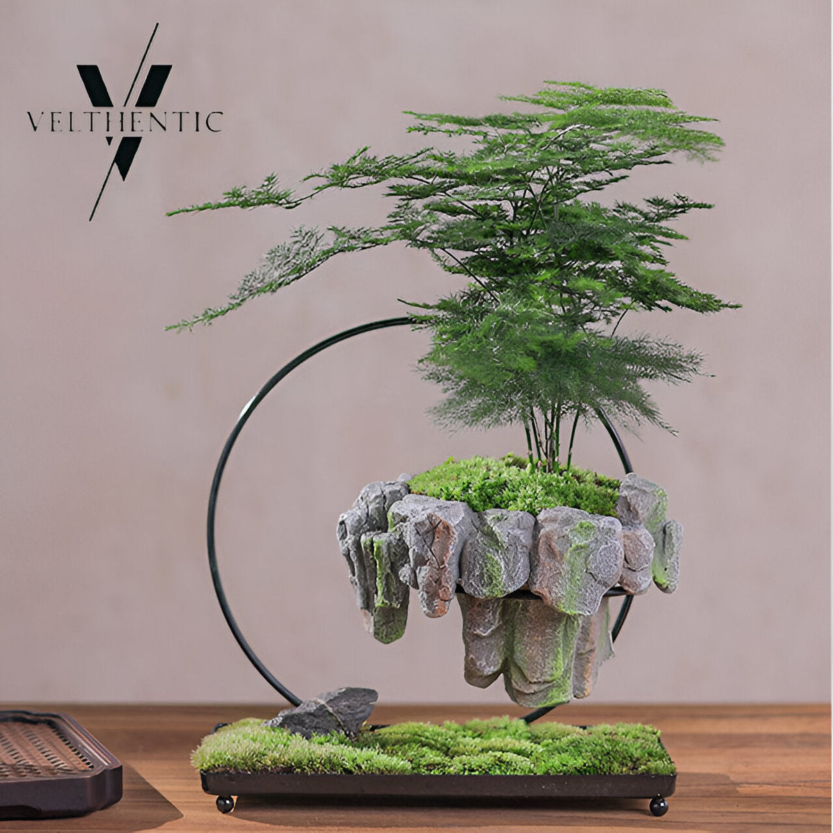 FantasyPot Handgemaakt Steenontwerp Zwevende Bonsai Pot