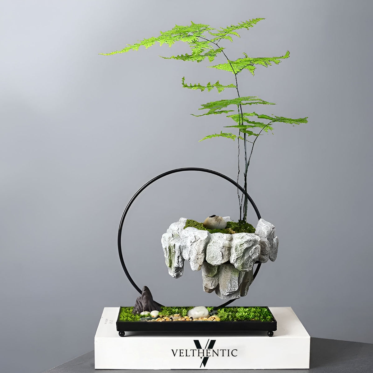 FantasyPot Handgemaakt Steenontwerp Zwevende Bonsai Pot